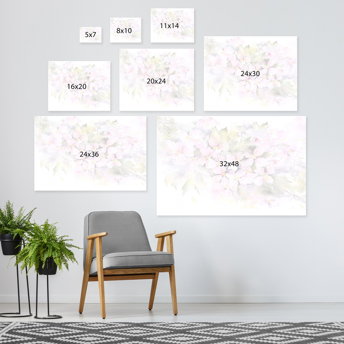 Clematis Montana by Rachel McNaughton  Gallery Wrapped Canvas - Americanflat