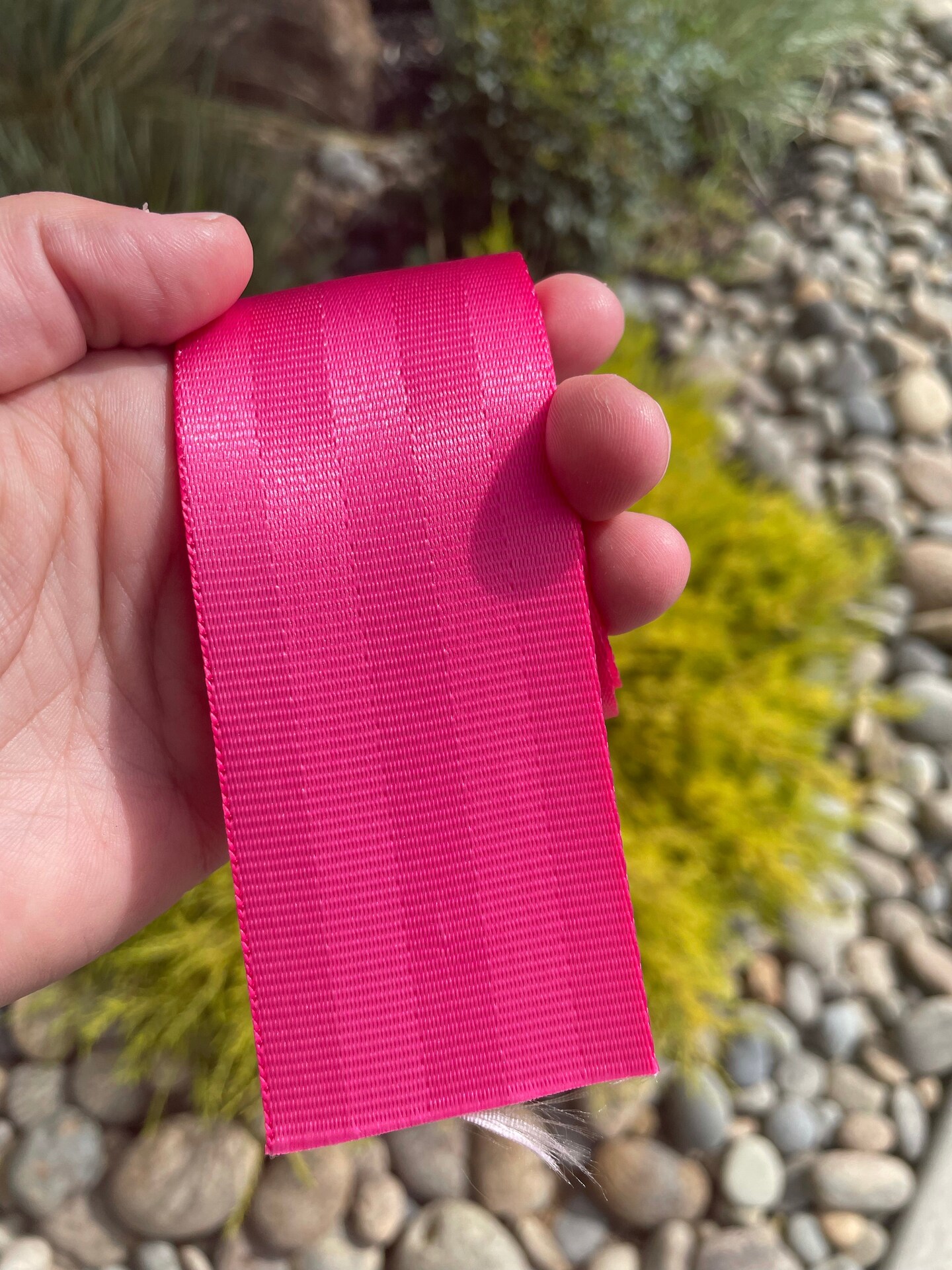 Pink 2&#x201D; Seatbelt Webbing (by the yard)