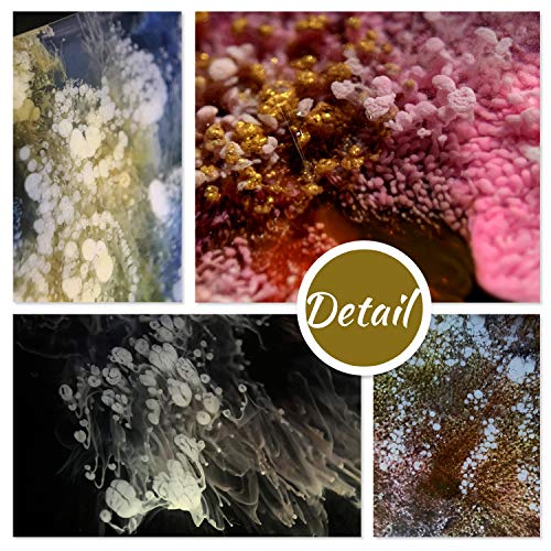 White &#x26; Black Alcohol Ink Set - 4 Ounce White and Black Alcohol-Based Inks for Resin Petri Dish Making, Epoxy Resin Painting, Yupo Paper - Alcohol Paint Color Dye for Resin Art, Tumbler - 60ml Each