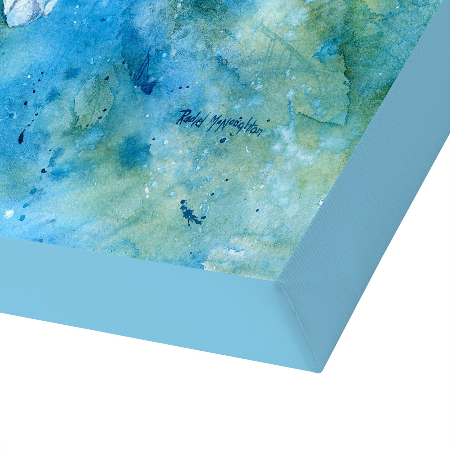 Hellebores On Blue by Rachel McNaughton  Gallery Wrapped Canvas - Americanflat