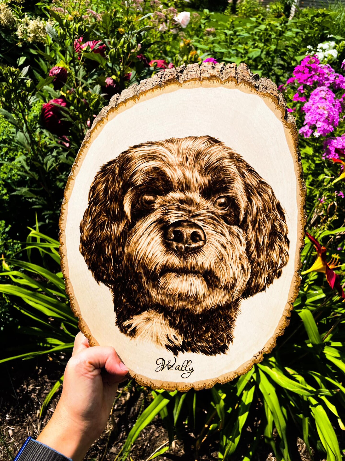 On sale Pet portraits woodburning