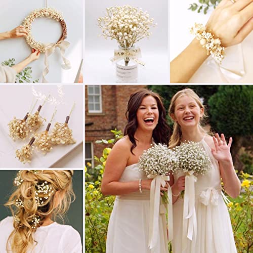 Dried-Babys-Breath-Flowers-Bouquet, Glicrili 17.2 inch 2500+ Ivory White Flowers, Natural Gypsophila Branches for Home, Table Decor, Dry Flowers Bulk for Vase, Wedding, DIY, Party (3oz)