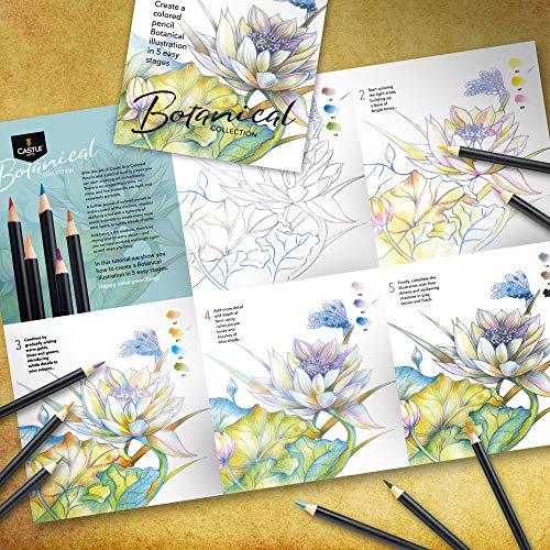 Themed 24 Colored Pencil Set in Tin Box, perfect colors for ‘Botanical’ Art. Featuring quality, smooth colored cores, superior blending & layering performance for great results