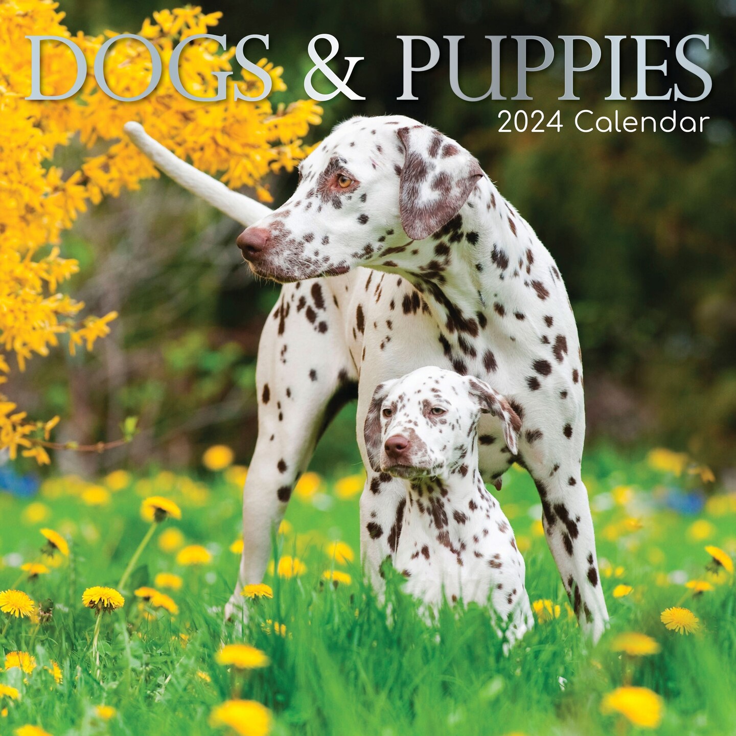 2024 Square Wall Calendar Dogs Puppies 16 Month Animals Theme With   152782189620704 