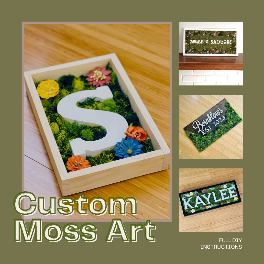 How-To name is Custom Moss Art Frame with Wood Letters DIY Guide