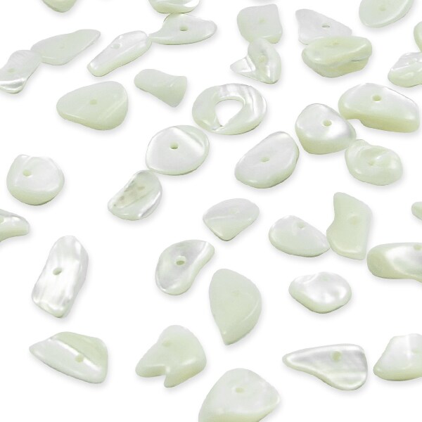 6 Packs of Shell Chips Natural 2/8&#x22; Strand