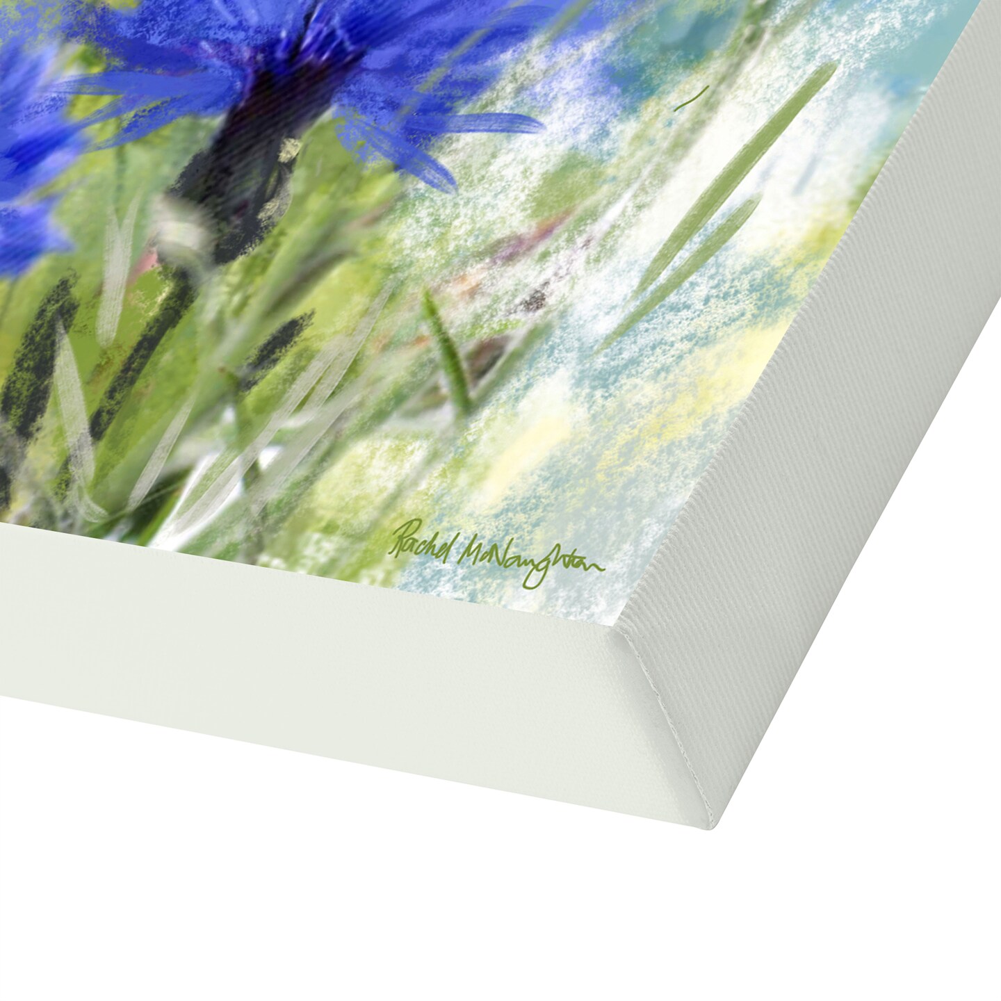 Cornflowers by Rachel McNaughton 10x10 Gallery Wrapped Canvas - Americanflat