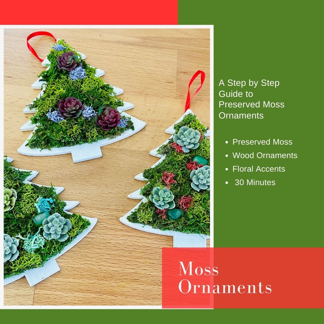 DIY Preserved Moss Christmas Ornaments: How To