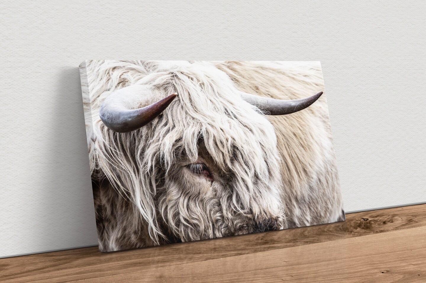 Art Photography Highland Cow With Big Horns