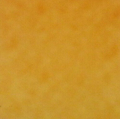 Camp Peanuts~Orange Blender by Quilting Treasures~ Cotton Fabric for Sewing