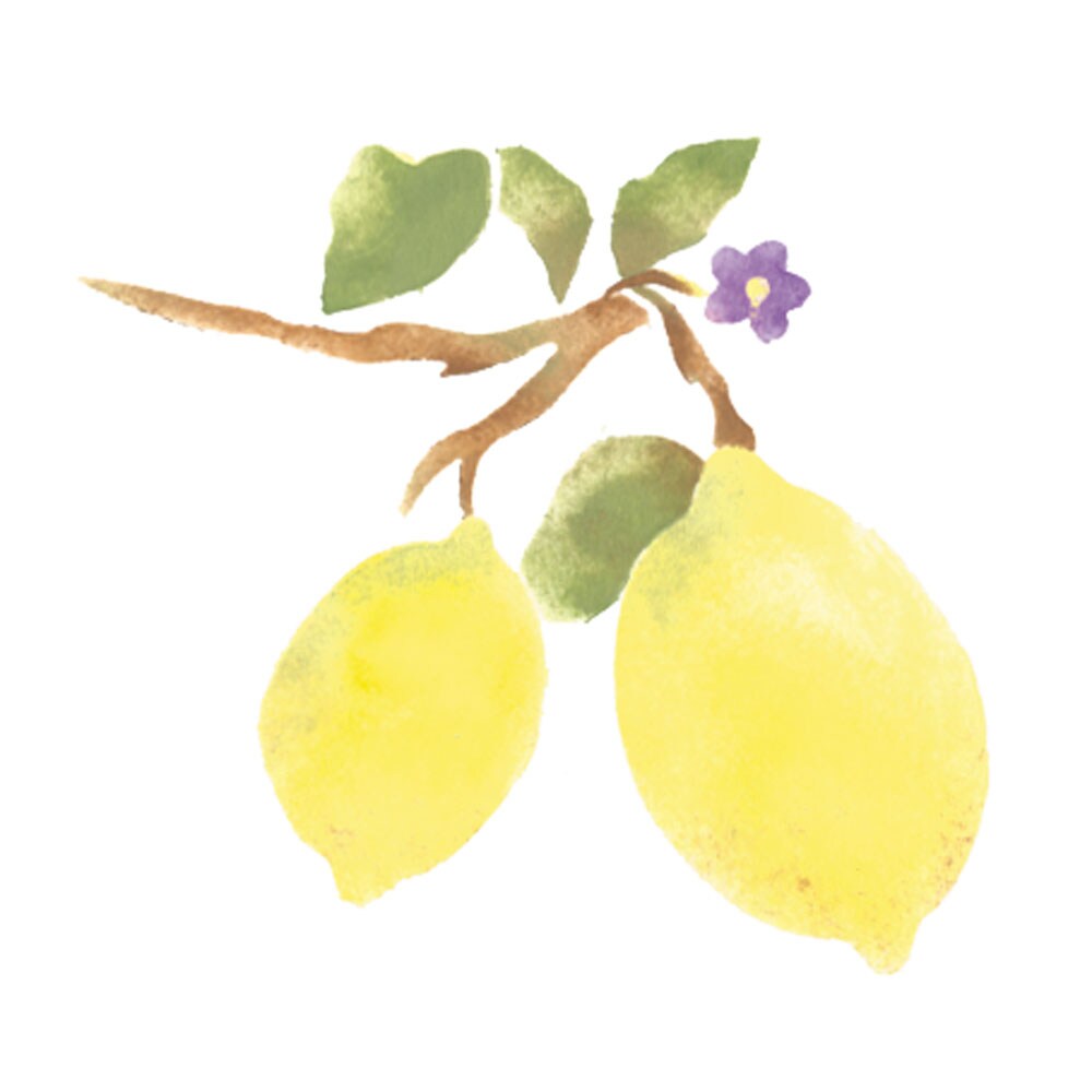 Single Lemon Wall Stencil 3275 by Designer Stencils Reusable Art