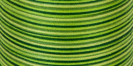 Coats Cotton Machine Quilting Thread Multicolor 225yd