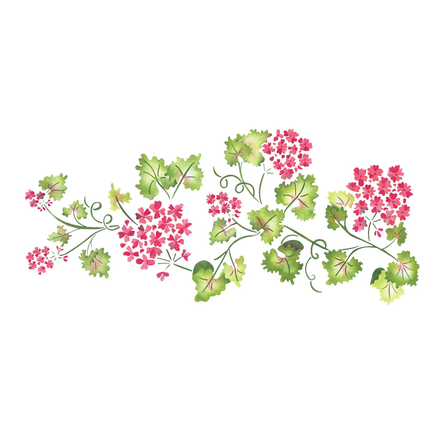 Large Geranium Flower Wall Stencil | 2959 by Designer Stencils | Floral Stencils | Reusable Art Craft Stencils for Painting on Walls, Canvas, Wood | Reusable Plastic Paint Stencil for Home Makeover | Easy to Use &#x26; Clean Art Stencil