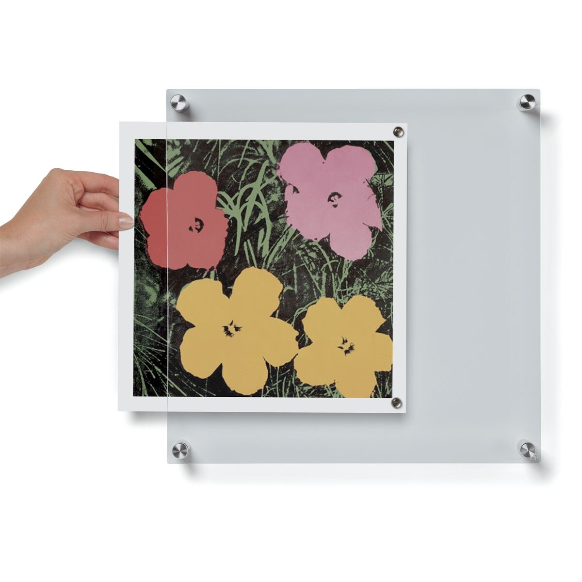 Wexel Art Single Panel Acrylic Display Frame - 14" x 14", Silver Hardware
