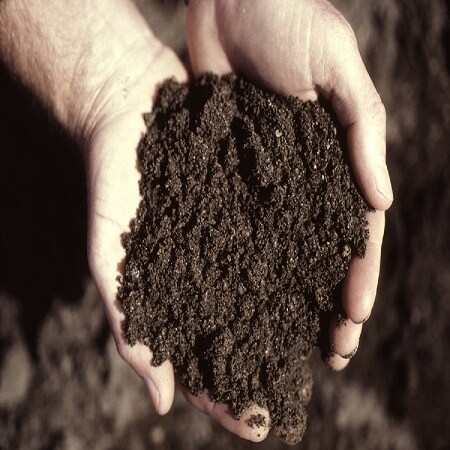 Dirt Fragrance Oil (Our Version of the Brand Name) (64 oz Jug) for Candle Making, Soap Making, Tart Making, Room Sprays, Lotions, Car Fresheners, Slime, Bath Bombs, Warmers…