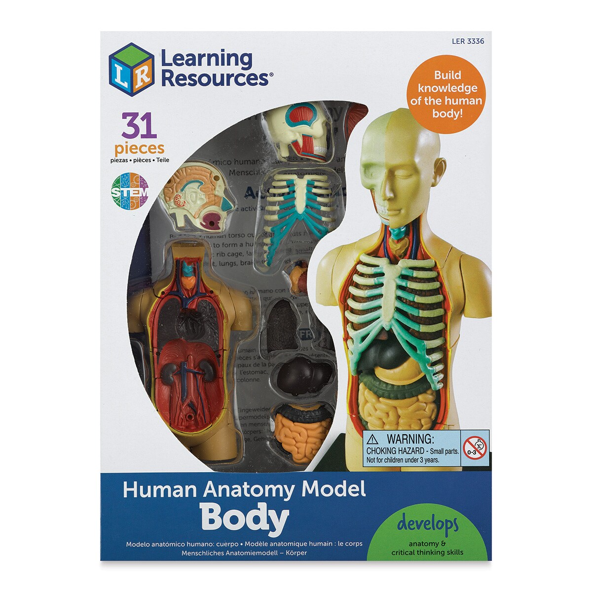 Learning Resources Human Anatomy Model - 4-1/2&#x22;