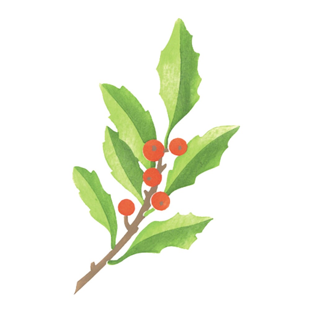 Holly Sprig Wall Stencil 3173 by Designer Stencils Floral Stencils