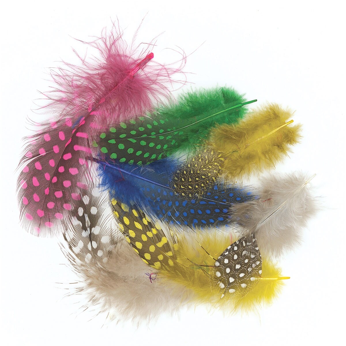 Creativity Street Spotted Guinea Feathers - Assorted Colors, Bag of Approx 600 pieces