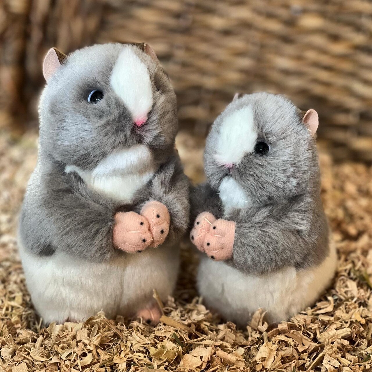 Henrietta the 5-Inch Grey Hamster: Adorable and Cuddly Pet for Kids and Hamster Enthusiasts