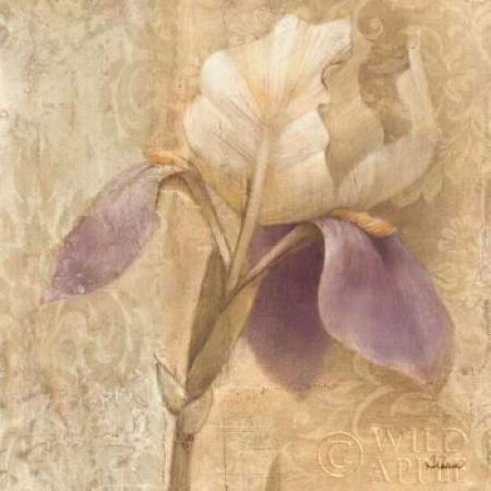 Brocade Iris - Wag Poster Print by Albena Hristova - Item # VARPDX6415