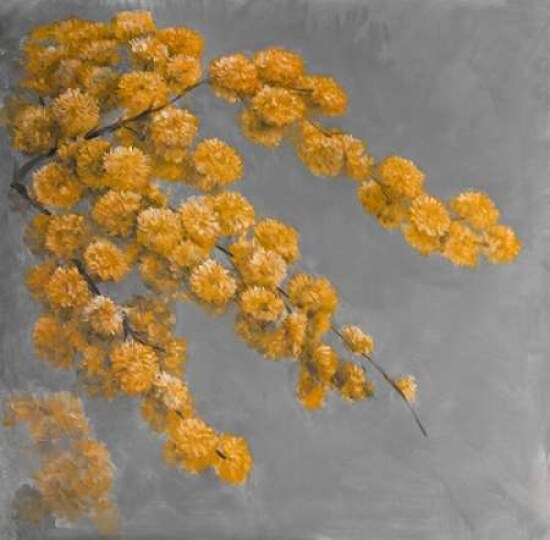 Golden Wattle Plant with Flowers Poster Print by Atelier B Art Studio - Item # VARPDXBEGFLO141