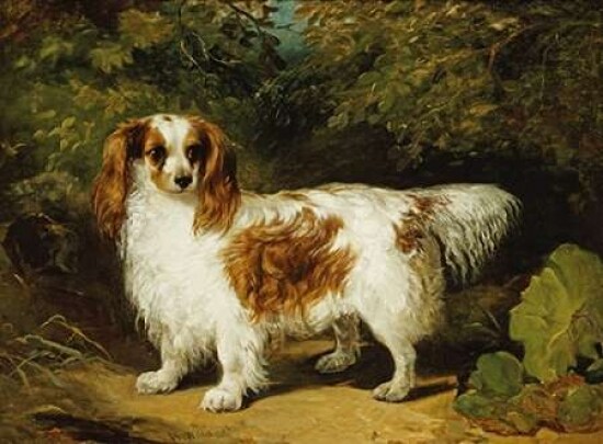A Blenheim Cavalier King Charles Spaniel Poster Print by H. Willis - Item # VARPDX267576