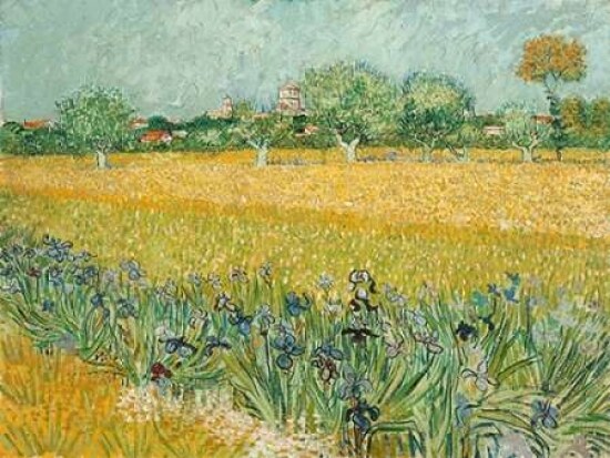 Field with Irises near Arles Poster Print by Vincent Van Gogh - Item # VARPDX3VG114