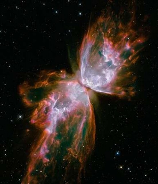 Butterfly Nebula Poster Print by NASA - Item # VARPDX393589