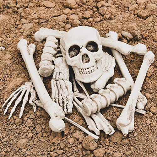 FUN LITTLE TOYS Halloween Bag of Skeleton Bones and Skull, 18 PCs Bag of Bones for Outdoor Halloween Decorations