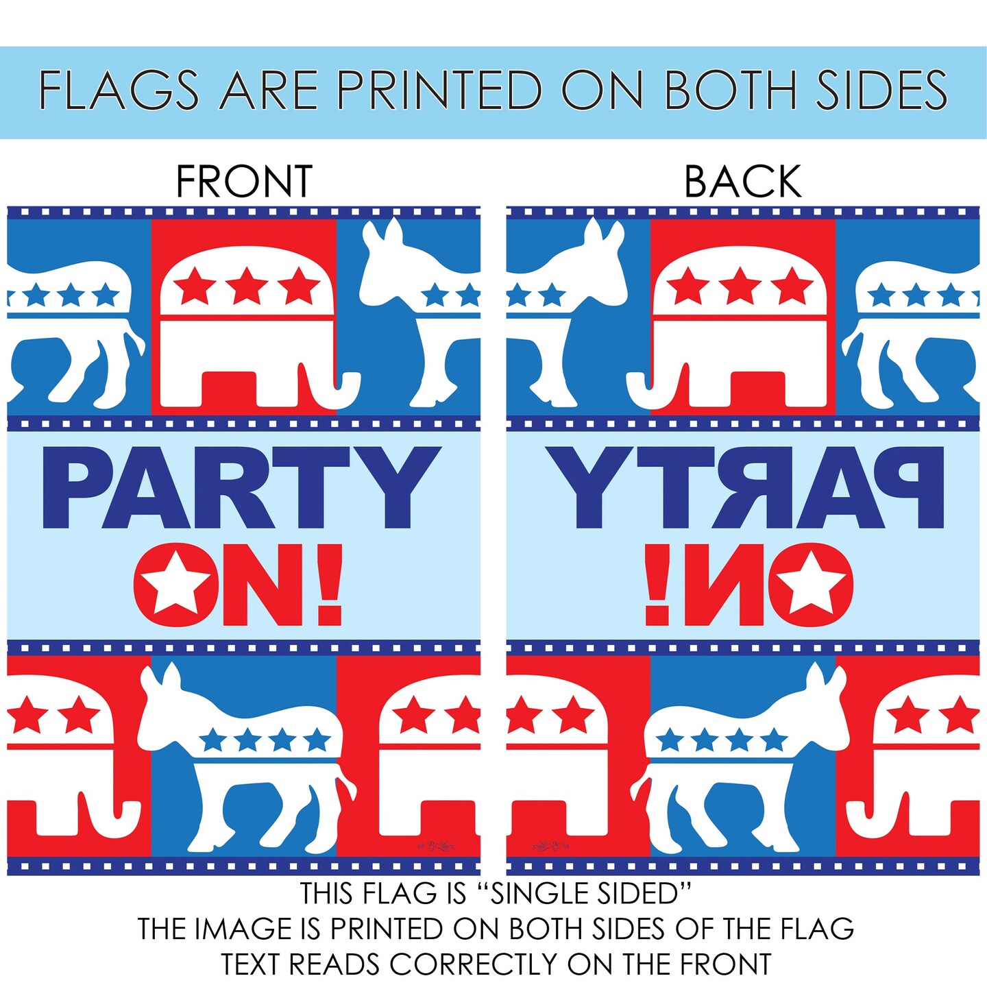 Party On Decorative Political Flag