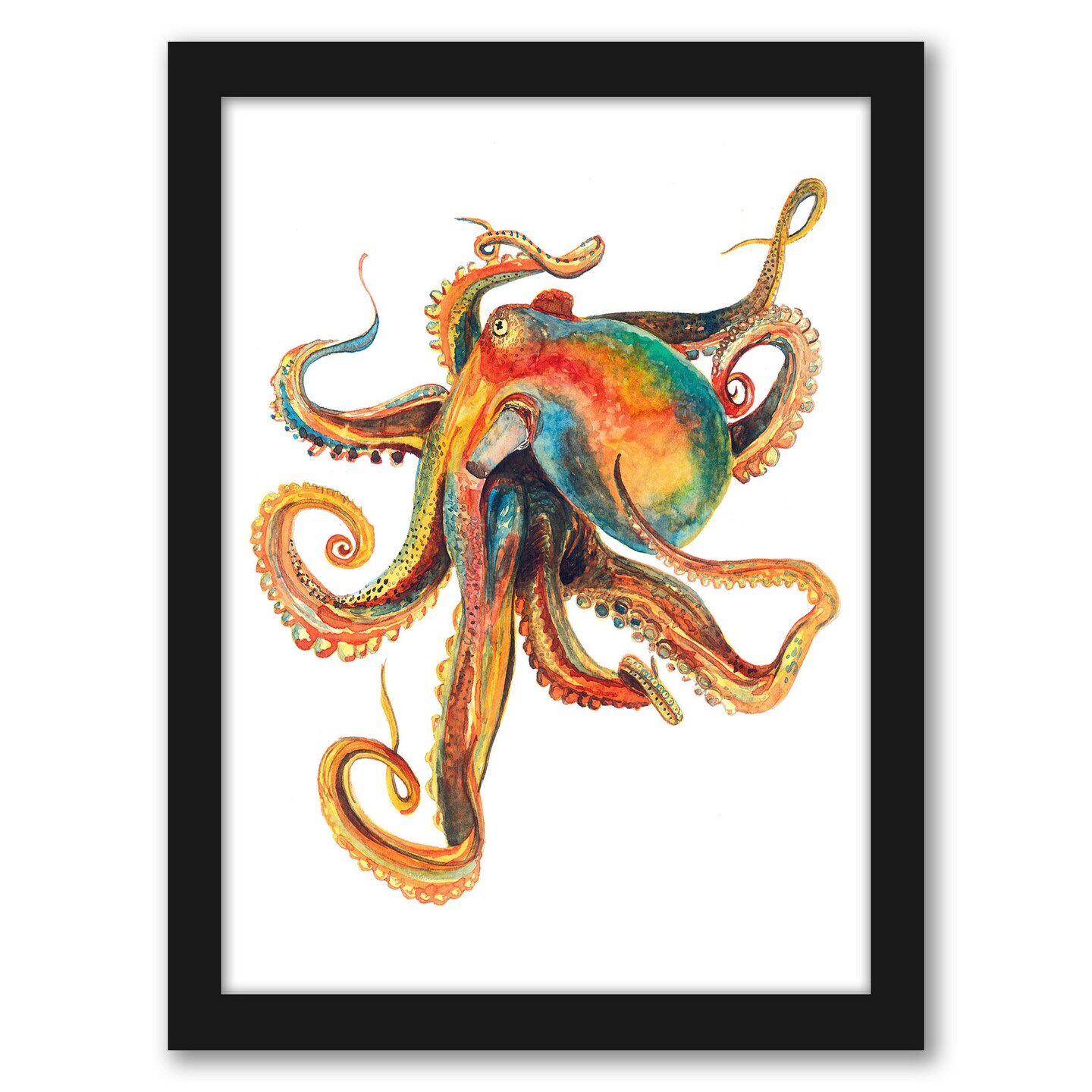 Octopus 2 by T.J. Heiser Frame  - Americanflat