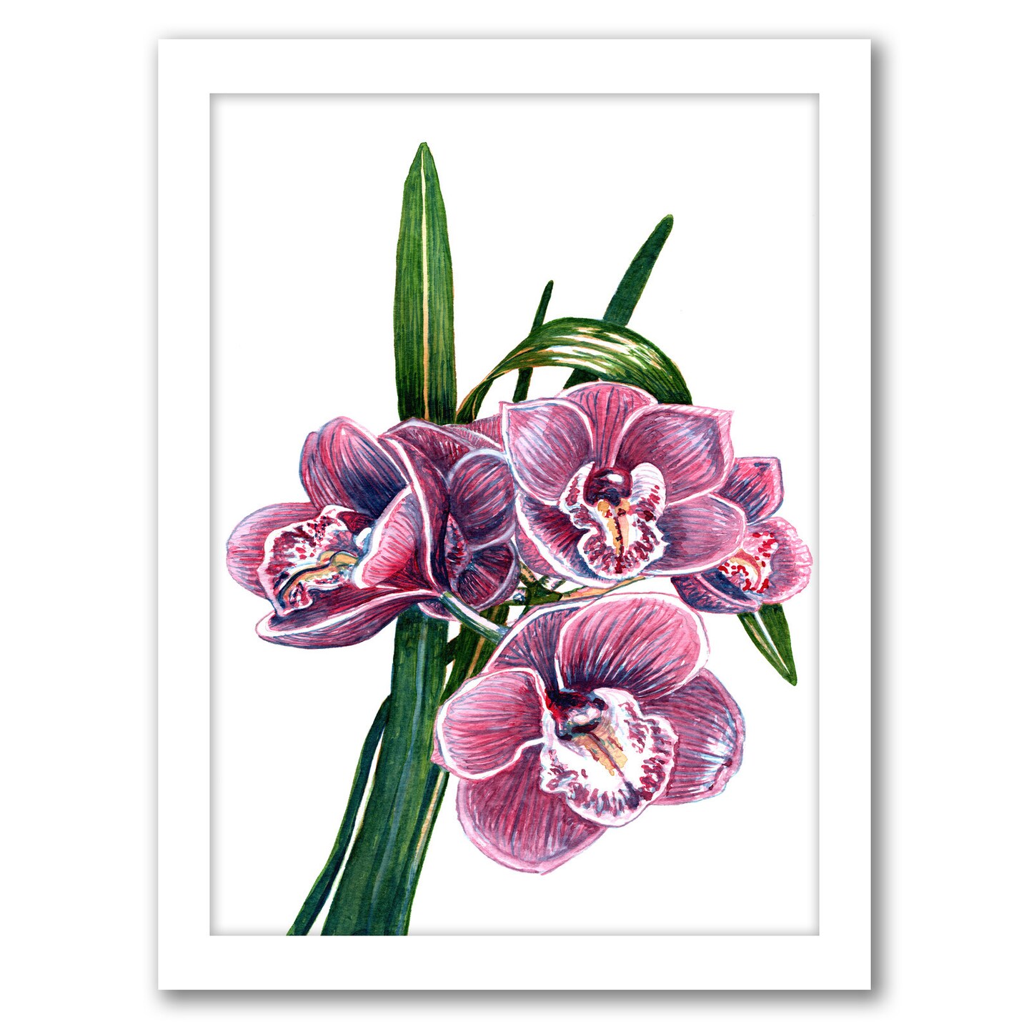 Orchids by T.J. Heiser Frame  - Americanflat