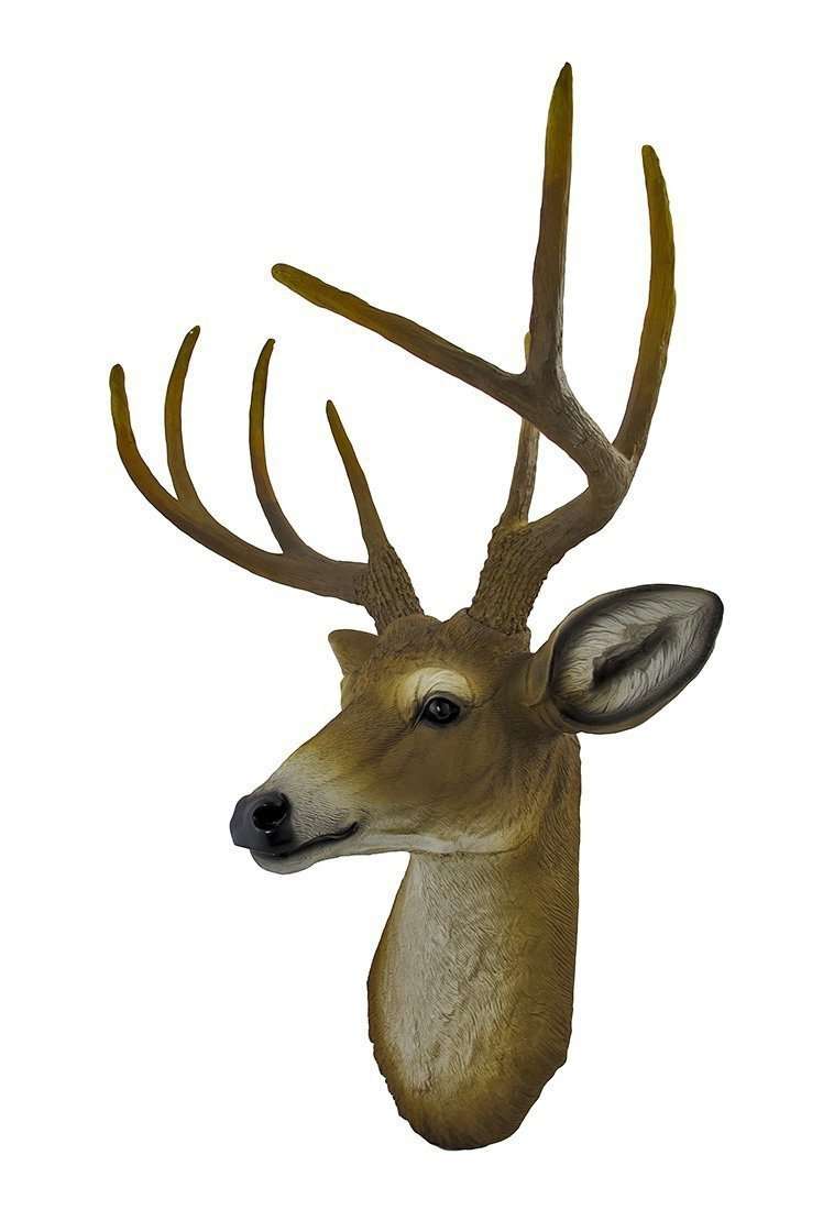 Small Buck Deer Head Statue