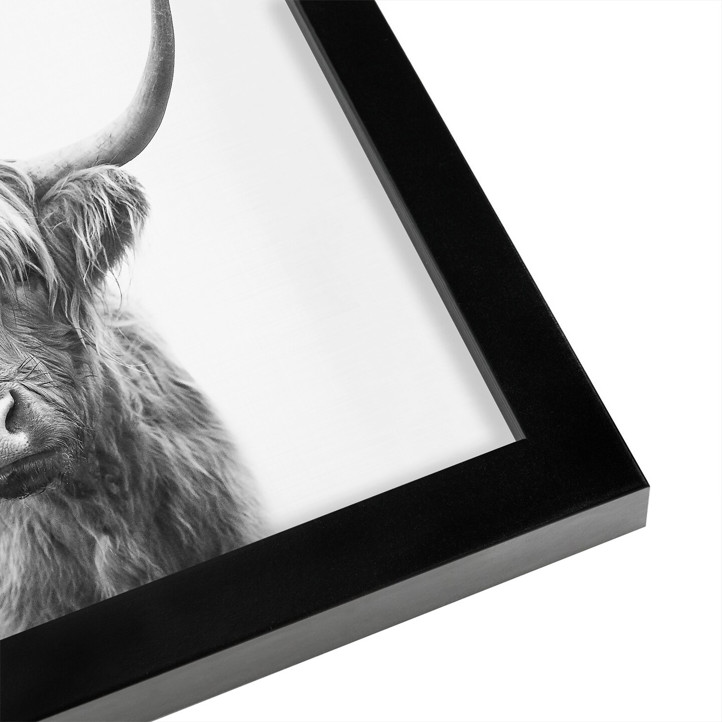 Highland Bull by Sisi and Seb Framed Print - 8x10 - Americanflat