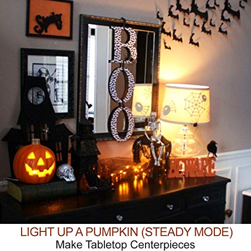 2-Pack Halloween Pumpkin Lights with Remote/Timer - Orange Pumpkin Lights LED Battery Operated Halloween Decor - Halloween Jack-O-Lantern Outdoor Pumpkin Decorations - LED Lights Halloween