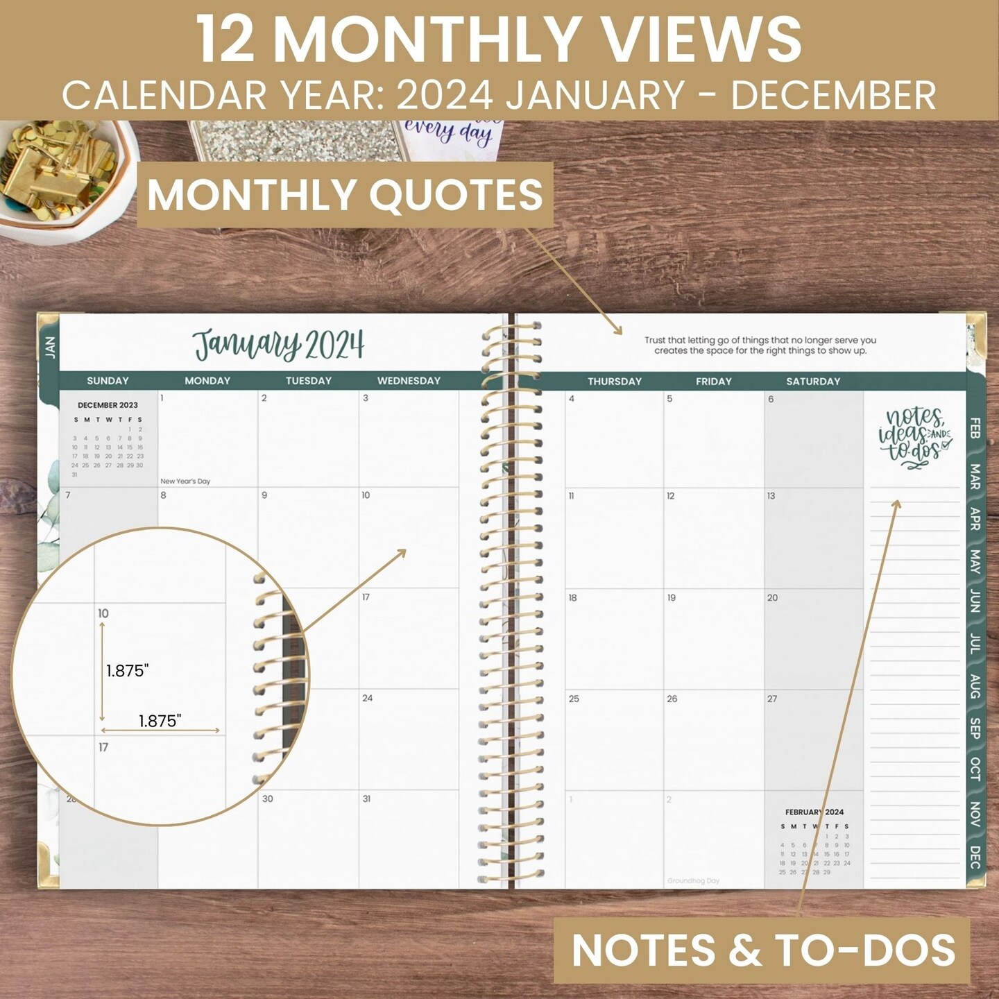 bloom daily planners 2024 Hard Cover Planner, 8.5&#x22; x 11&#x22;, Eucalyptus