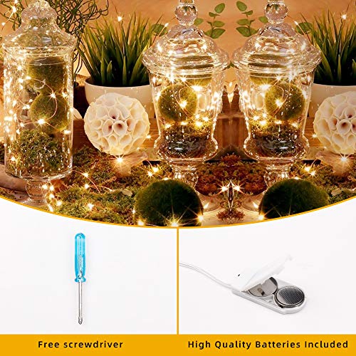 10 Pck Fairy Lights, LED Fairy Lights Battery Operated,7 Feet 20 LED Flexible Firefly Mason Jar Lights Mini String Lights for DIY Wedding Party Bedroom Christmas Decoration (Warm White)