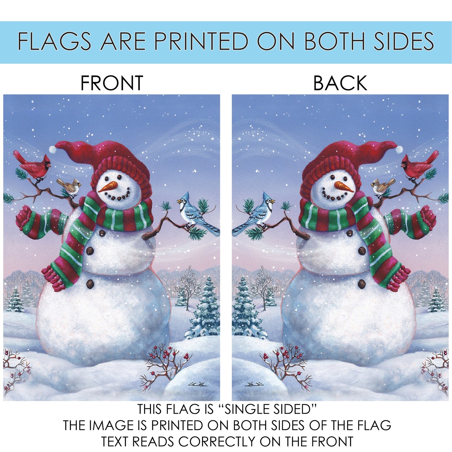 Snowy Birdy Buddy Decorative Winter Flag