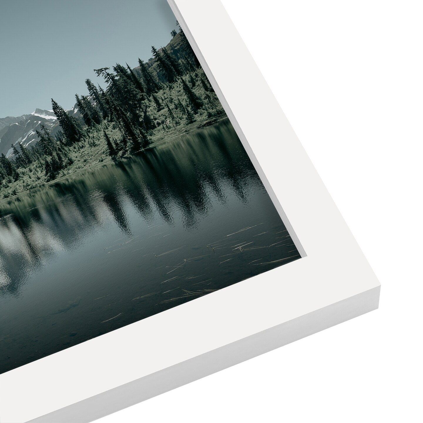 Shuksan Summer by Torrey Merritt Frame  - Americanflat