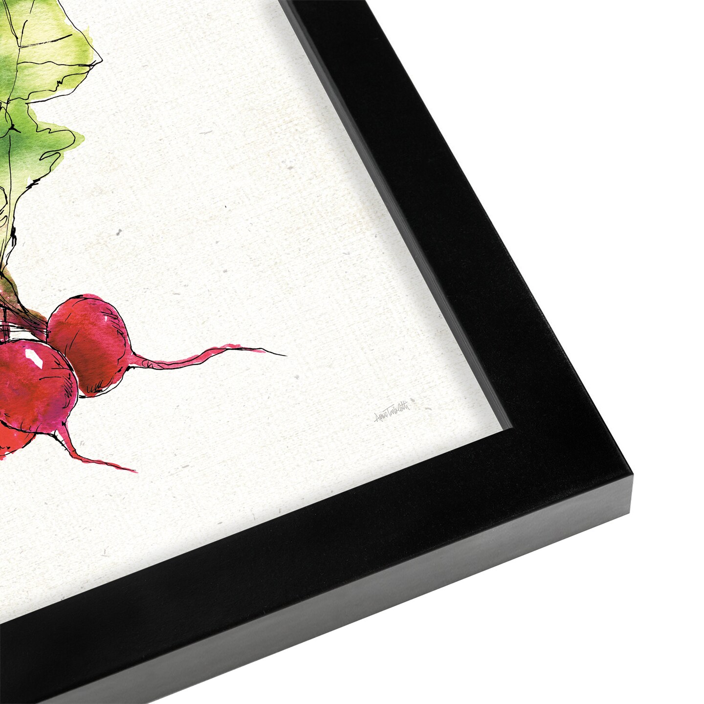 Veggie Market II Radish Wall Art by Anne Tavoletti Black Framed Print 11x11 - Americanflat