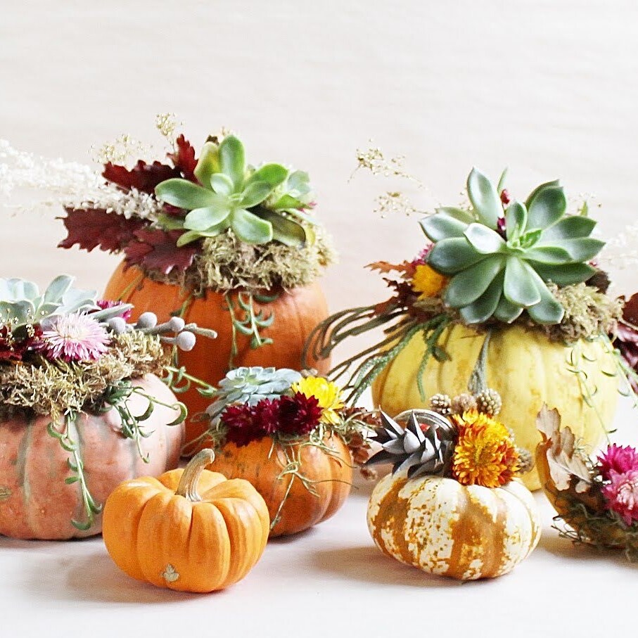 Succulent Pumpkin Centerpieces Workshop