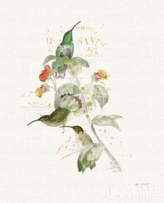 Colorful Hummingbirds III Poster Print by Katie Pertiet - Item # VARPDX28880