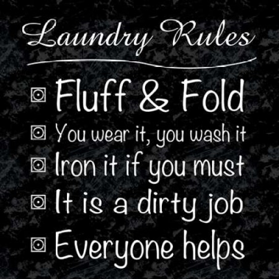Laundry Rules Poster Print by Lauren Gibbons - Item # VARPDXGLSQ132B