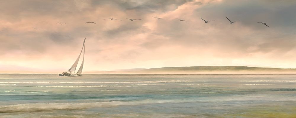 Setting Sail Poster Print by Mike Calascibetta - Item # VARPDX40297