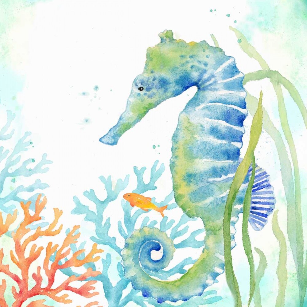 Sea Life Serenade III Poster Print by Cynthia Coulter - Item # VARPDXRB12001CC