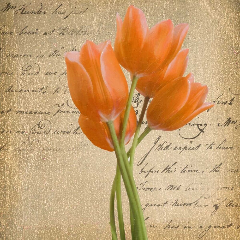 ORANGE TULIP II ON GOLD by Unknown - Item # VARPDXTGSQ053B