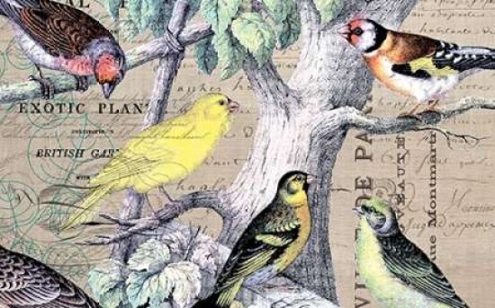 Bird Botanical 4 Poster Print by Elizabeth Jordan - Item # VARPDXTRRC108A