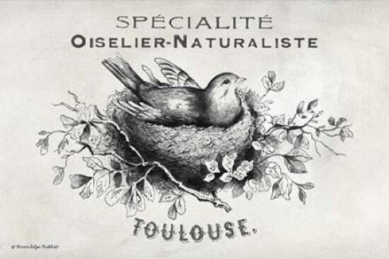French Bird Nest I Poster Print by Gwendolyn Babbitt - Item # VARPDXBAB105