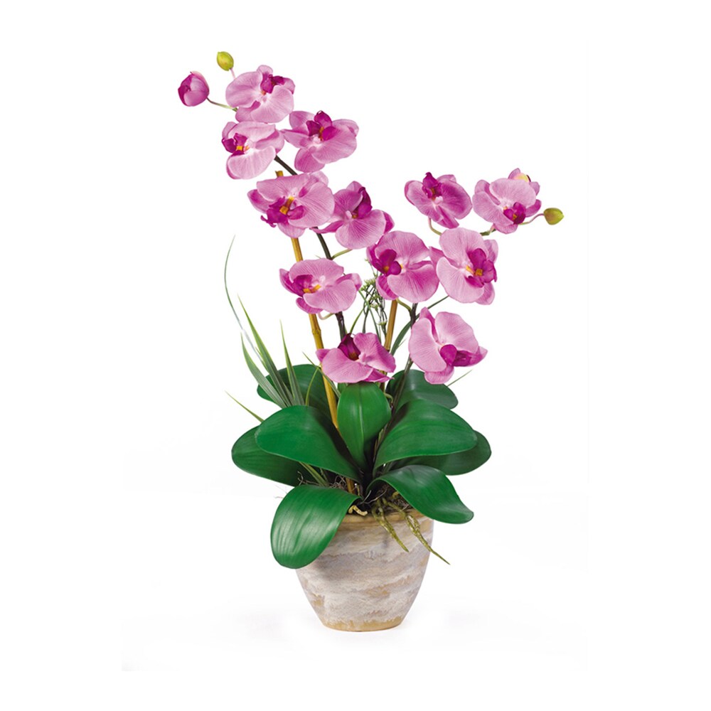 Nearly Natural Home Seasonal Decorative Double Stem Phalaenopsis Silk Orchid Arrangement