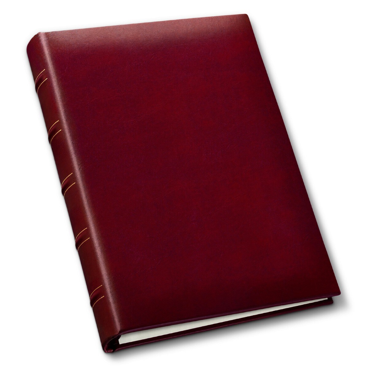 Gallery Leather Slimline Photo Album 4x6-3 Ring Binder, 60 Pages for 120 Photos, Fillable, Can Fit 4x6 Photos, Handcrafted - 11.75 x 8.0 &#x22;